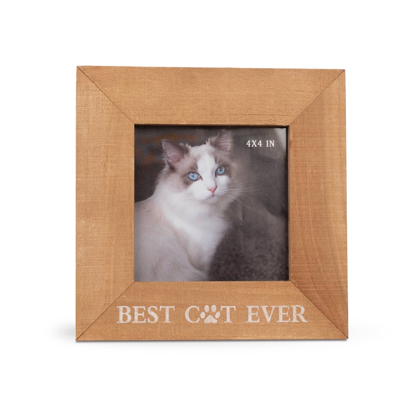 Best Cat Ever Picture Frame