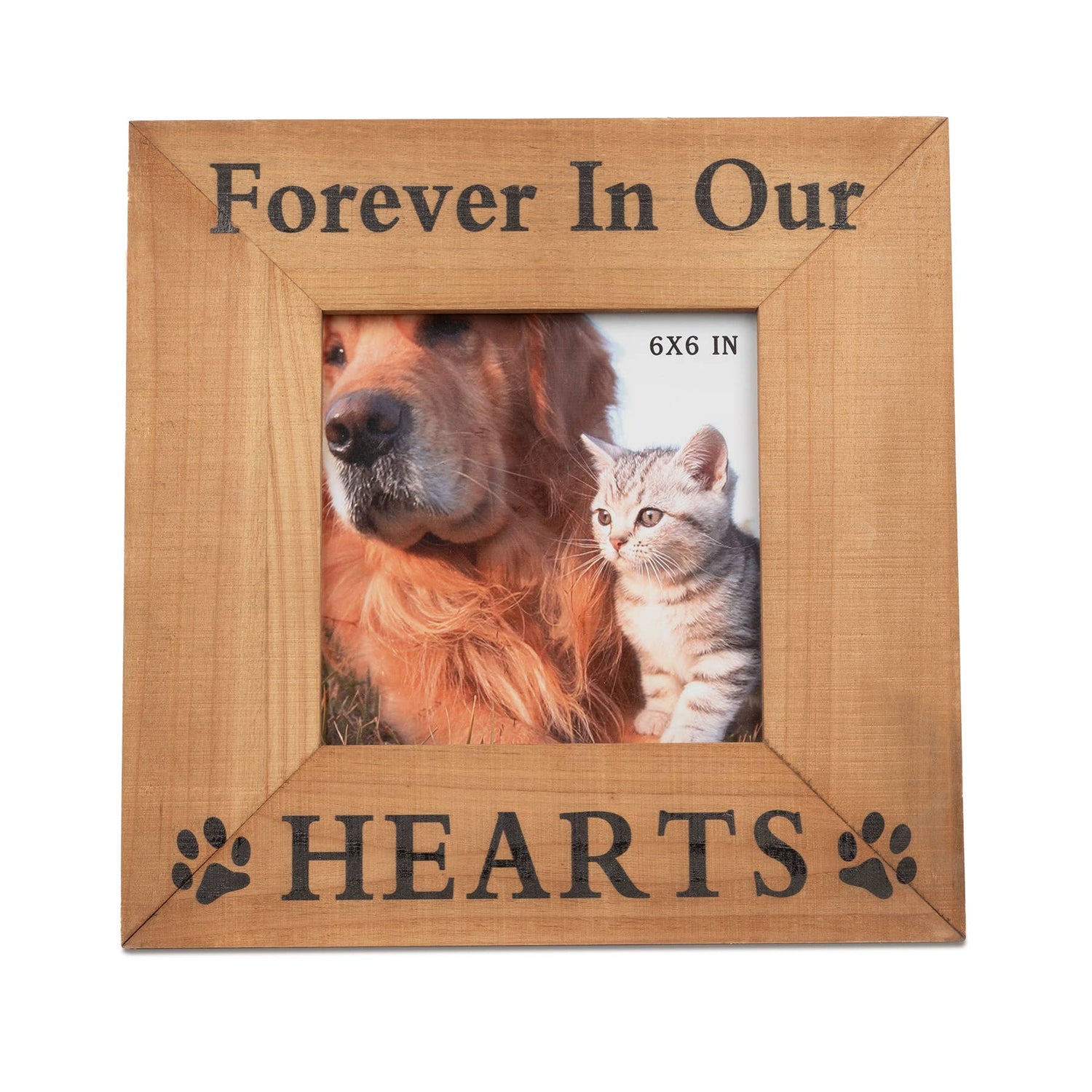 We Love Pets