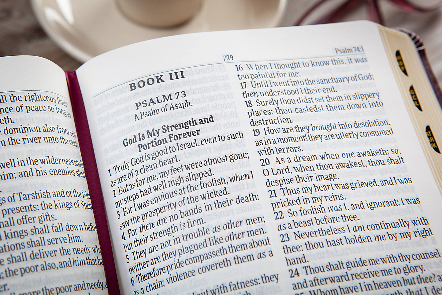 KJV Bible Giant Print Compact (Garnet)