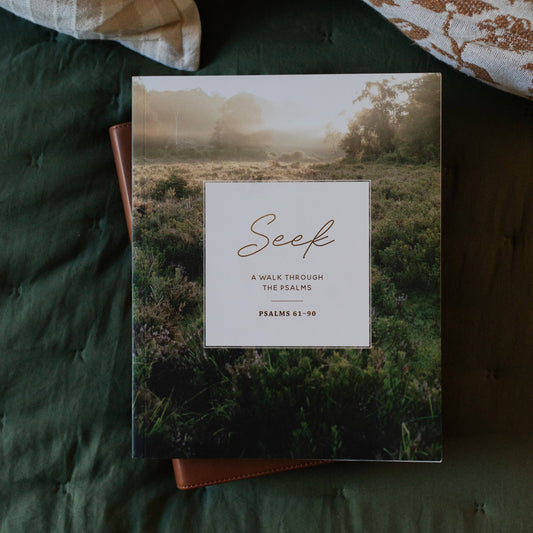Seek Bible Study