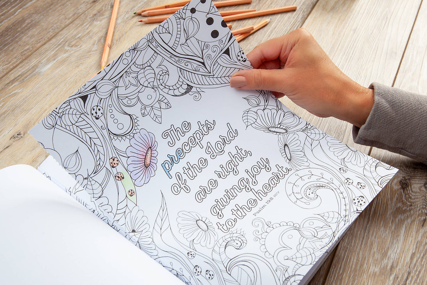 The Beloved Psalms (Coloring Book, 60+ Coloring Pages!)