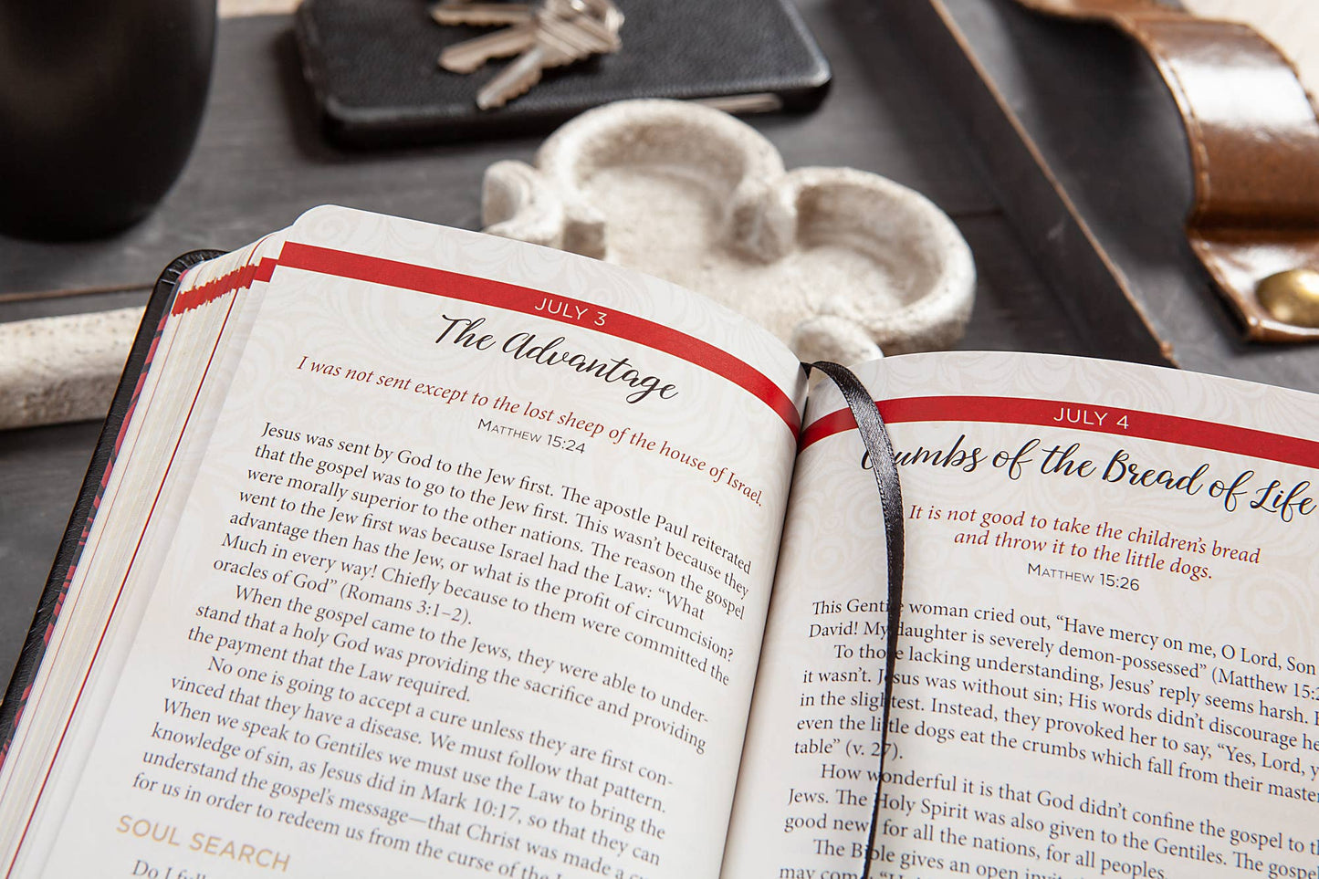 Jesus in Red (Daily Devotional)