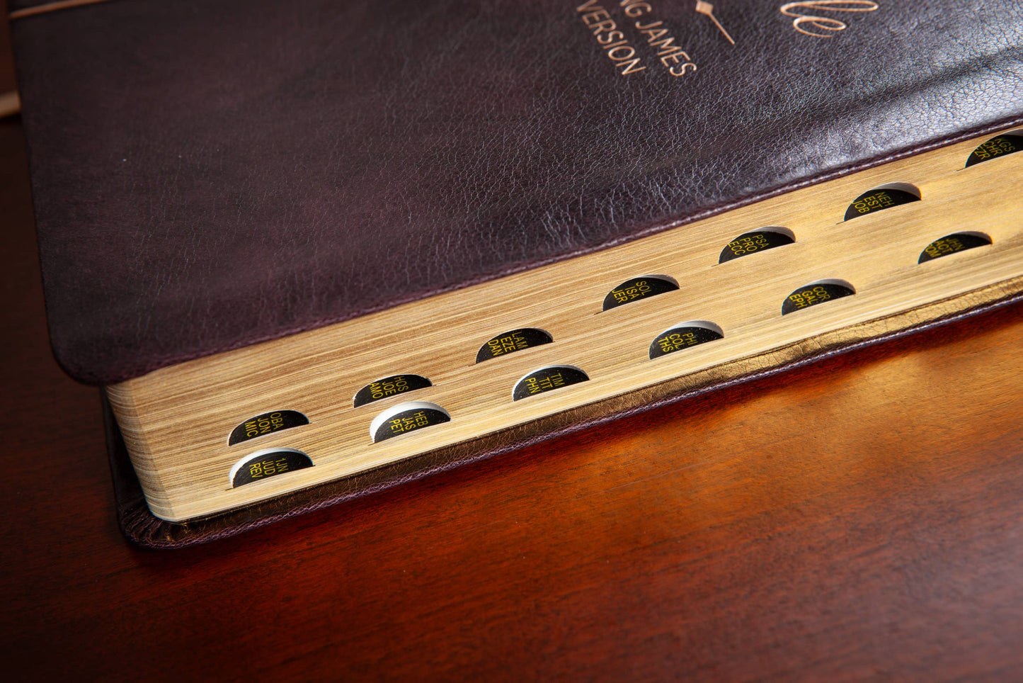 KJV Bible - Giant Print Maroon