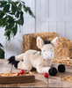 The Faithful Donkey