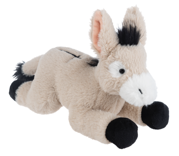 The Faithful Donkey